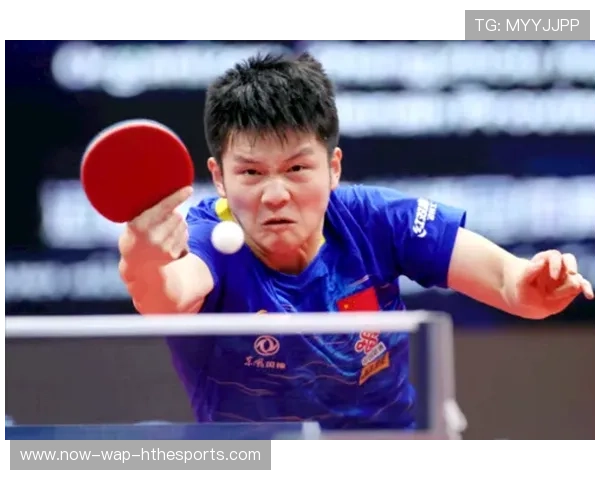 真正的樊振东强势回归，神奇反手震撼全场，樊振东反手握拍图片